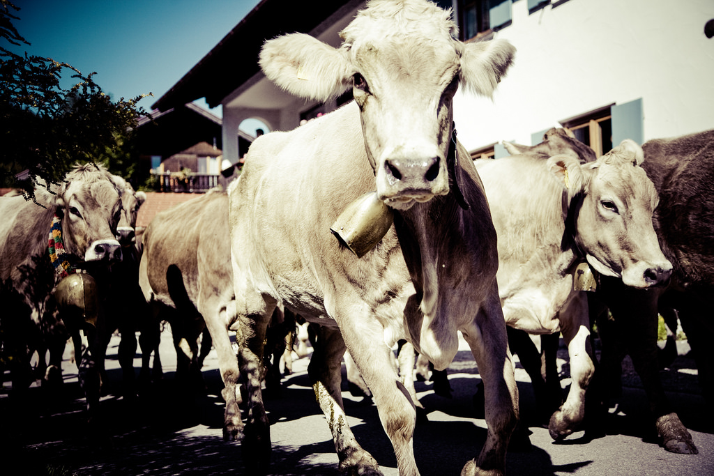 Usce consectetur sem nec euismod varius. Usce consectetur sem nec euismod varius.